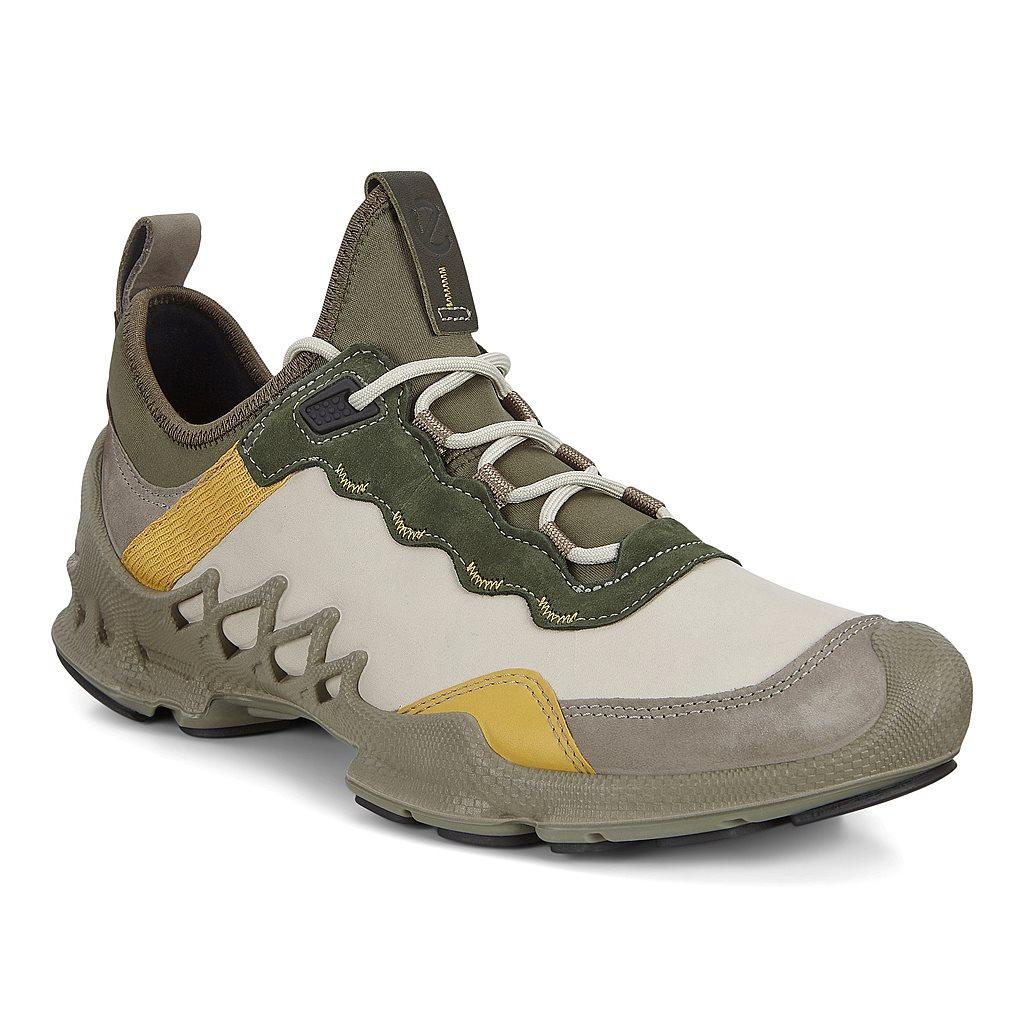 Chaussure Outdoor Ecco Biom Aex Homme Multicolore 1648-CGVWR